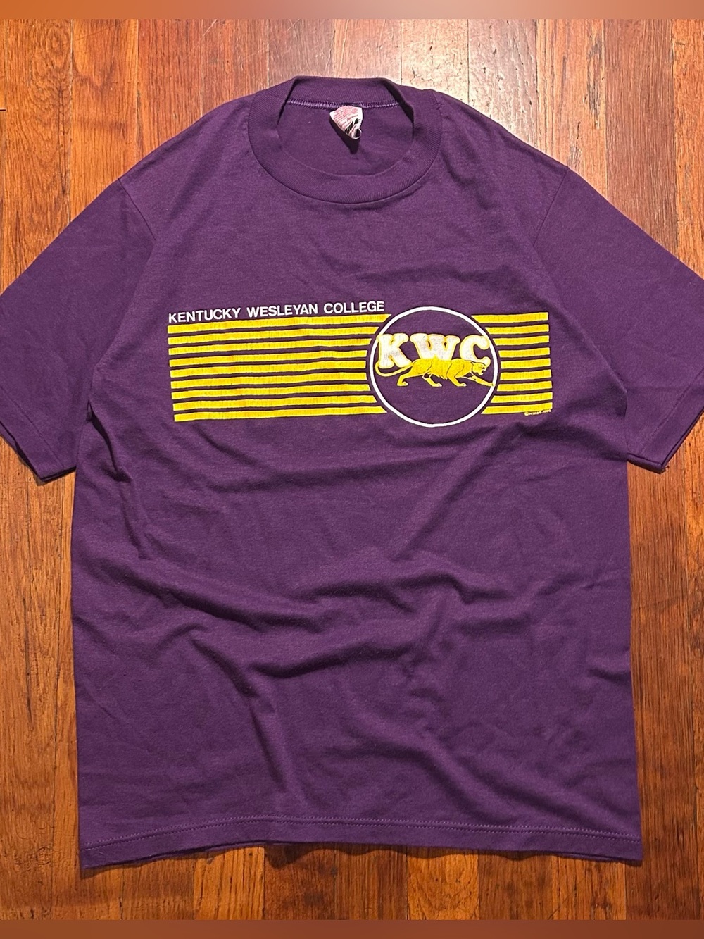 Vintage ‘80s Kentucky Wesleyan College KWC Purple Yellow Graphic T-shirt S